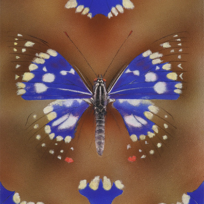 日本画 水彩画 現代アーティスト 大西高志